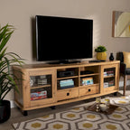Walda Modern and Contemporary Wood TV Stand with 2-Drawer