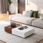 Modern Coffee Table with Two Storage Spaces