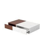 Modern Coffee Table with Two Storage Spaces